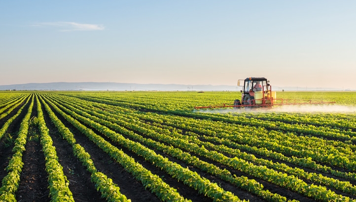Food security: The power of data insights, knowledge sharing and collaboration